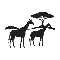 Giraffes Walking Near Horizon Line Silhouette