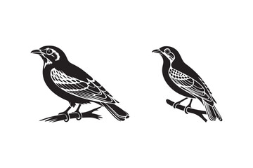 Two birds perched on branches silhouette
