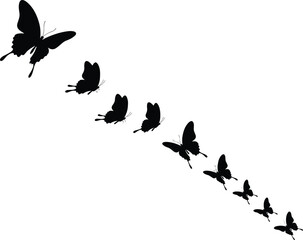 Butterfly silhouette flying upward, black insect vector art, nature flight illustration, butterfly motion graphic, winged insect shape, elegant flying form, insect life vector