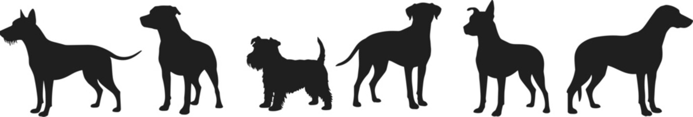 Silhouette illustration of six dog breeds standing side by side, isolated black dog shapes, domestic pet silhouettes, vector canine design, animal art graphic, realistic pose