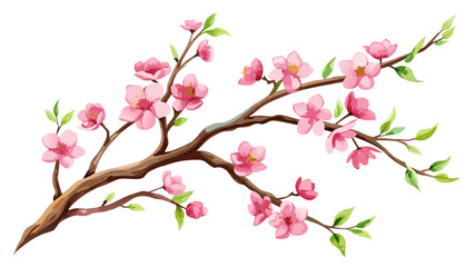 Vector art of a delicate pink cherry blossom branch with green leaves and buds, isolated on a white background