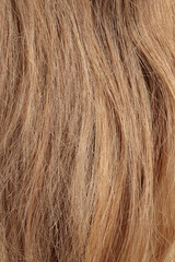 blond hair, long glossy straight hair, macro hair texture,  long dull tangled damaged hair with...