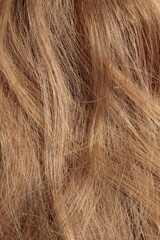 Fototapeta premium blond hair, long glossy straight hair, macro hair texture, long dull tangled damaged hair with split ends