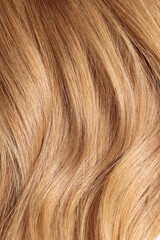 blond hair, long glossy wavy hair, macro hair texture