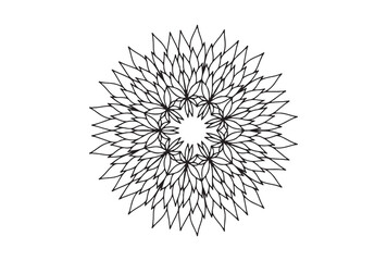 Elegant symmetrical floral design radiating intricate detail, perfect for artistic backgrounds and patterns