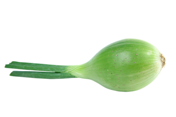 a green onion with a pair of scissors on it