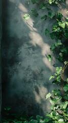 Ivy Growing on Textured Wall with Sunlight Casting Shadow