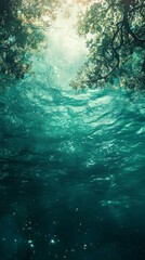 Underwater View of Trees and Sunlight Streaming Through Water