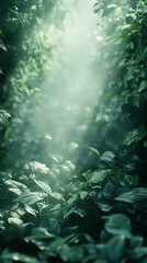 Lush Green Foliage with Sunlight Streaming Through, Natural Setting