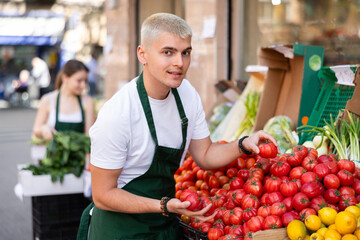 Man shop assistant puts ripe tomatoes in box on display case, arranges assortment in vegetable...