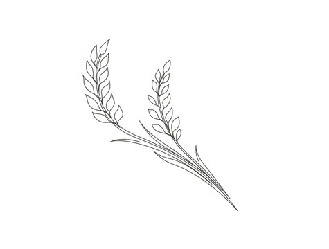 Barley or Rye in single line draw illustration. Continuous one line drawing of wheat product.
