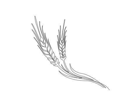 Barley or Rye in single line draw illustration. Continuous one line drawing of wheat product.