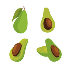 Avocado Set Vector Collection Illustration