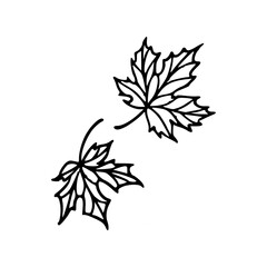 autumn leaves outline and line art