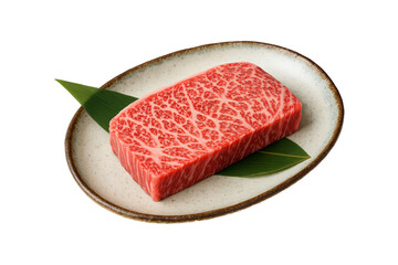 Premium A5 Wagyu beef steak with beautiful marbling, served raw on ceramic plate with green leaf.