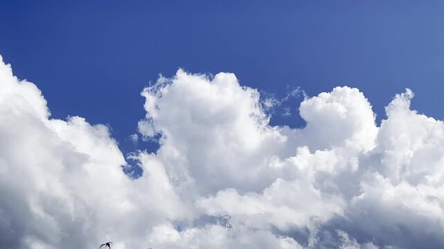 Thundercloud, cumulonimbus