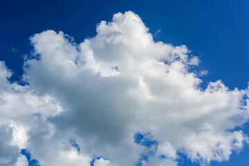 Scattered fluffy clouds float in a vibrant blue sky, providing a tranquil ambiance, perfect for nature-themed designs and backgrounds with copy space