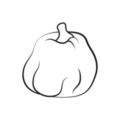 pumpkin vector logo icon illustration template design