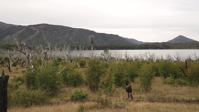 Man with backpack walking alone in Huella Andina trail located by lake &Ntilde;orquinco. Neuquen, Argentina