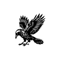 A raven in flight illustration isolated on white background