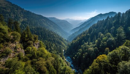 Obraz premium Lush valley nestled between towering mountain ranges