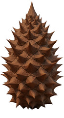 3D Rendered Brown Spiky Textured Cone Isolated on Transparent Background