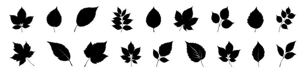  Collection of various leaf silhouettes