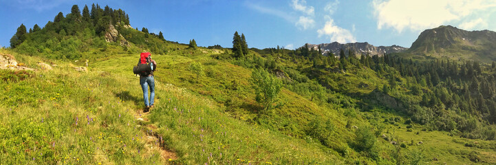 Panoramic view of hiker trekking through a vibrant mountain trail landscape