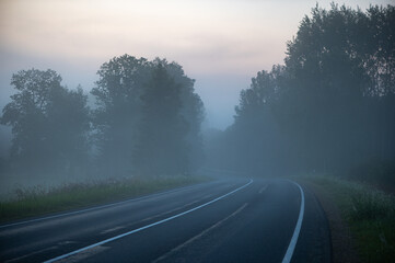 Foggy Morning Road Through Forest Edge