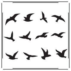 Set of 12 Flying Bird Silhouette Icons: Bird Flight, Soaring Birds, Avian Designs for Nature, Wildlife, and Outdoor Illustration and Graphic Design Projects