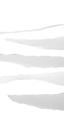 Abstract Background with Black and White Torn Paper Lines Shape Design