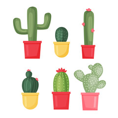 Cactus Succulent Plant Vector Set Collection Illustration