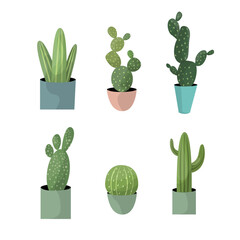 Cactus Succulent Plant Vector Set Collection Illustration