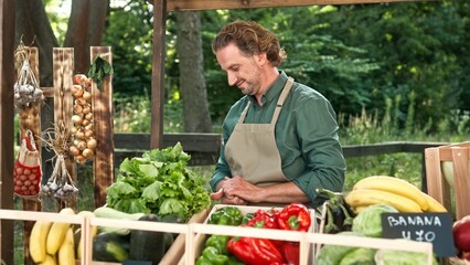 Handsome cheerful mature Caucasian man farmer in apron standing at stall selling farm harvest and smiling to camera. Happy male working at food market putting vegetables on counter. Portrait