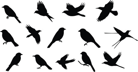 Black silhouettes of various birds in flight and perched flying