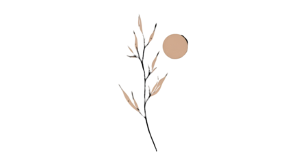 Abstract Beige Plant Silhouette Isolated On Black Background Illustration
