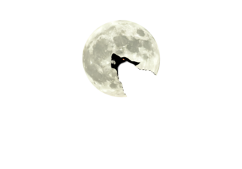A Dramatic Illustration Wolf Silhouette Howling At The Full Moon At Night