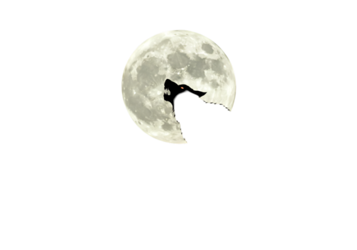 A Dramatic Illustration Wolf Silhouette Howling At The Full Moon At Night