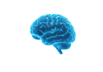 Abstract 3D Illustration Of Glowing Blue Brain Against Transparent Black Background