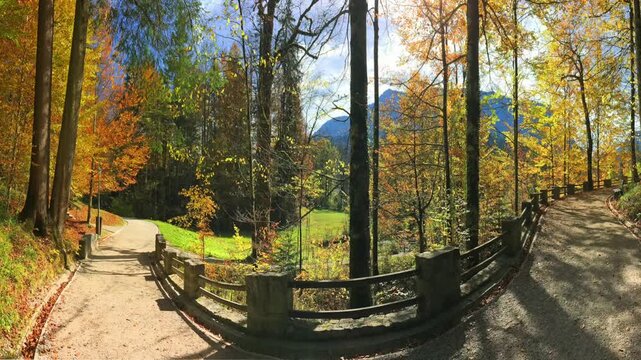 Two paths meet in a wood	
