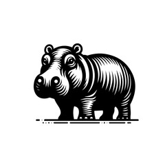 Fototapeta premium zebra vector illustration