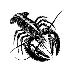 crayfish vector illustration