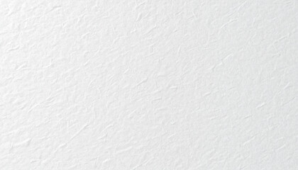 Fototapeta premium White Paper Texture Background