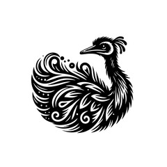 peacock isolated on white background