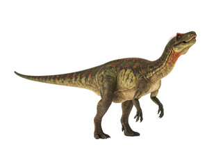 Obraz premium Tyrannosaurus rex isolated on a transparent background