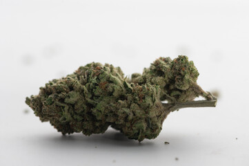 Close-up image of a dried cannabis bud showcasing its texture and trichomes on a white background.