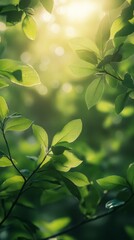 Sunlight Filtering Through Green Leaves in Forest Canopy