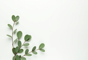 Minimal Green Leaves on White Background