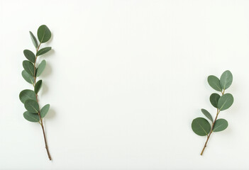 Minimal Green Leaves on White Background