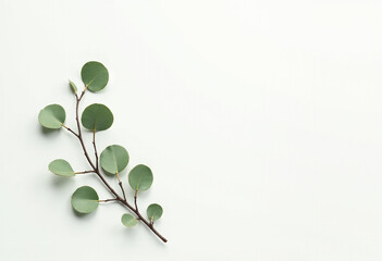 Minimal Green Leaves on White Background